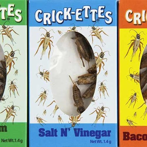 Edible Crickets Sampler Gift Pack